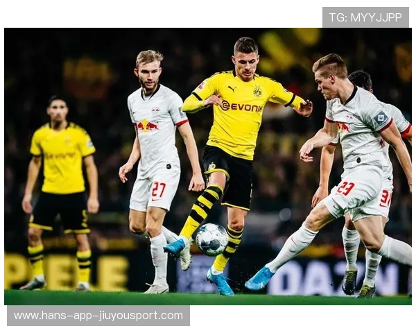 德甲比赛观众到场率与战绩关联性分析，德甲观众人数